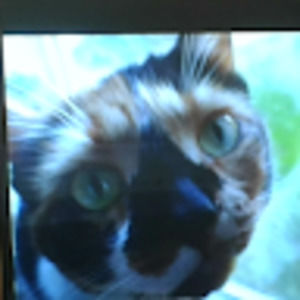 Meet your Posher, Rylee